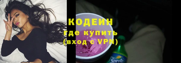 соль ск Кодинск