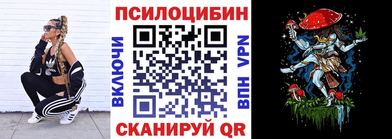 Купить где  Заозёрск  Галлюциногенные грибы Cubensis 
