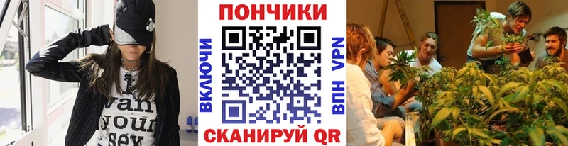 Купить  Заозёрск  Конопля ГИДРОПОН 